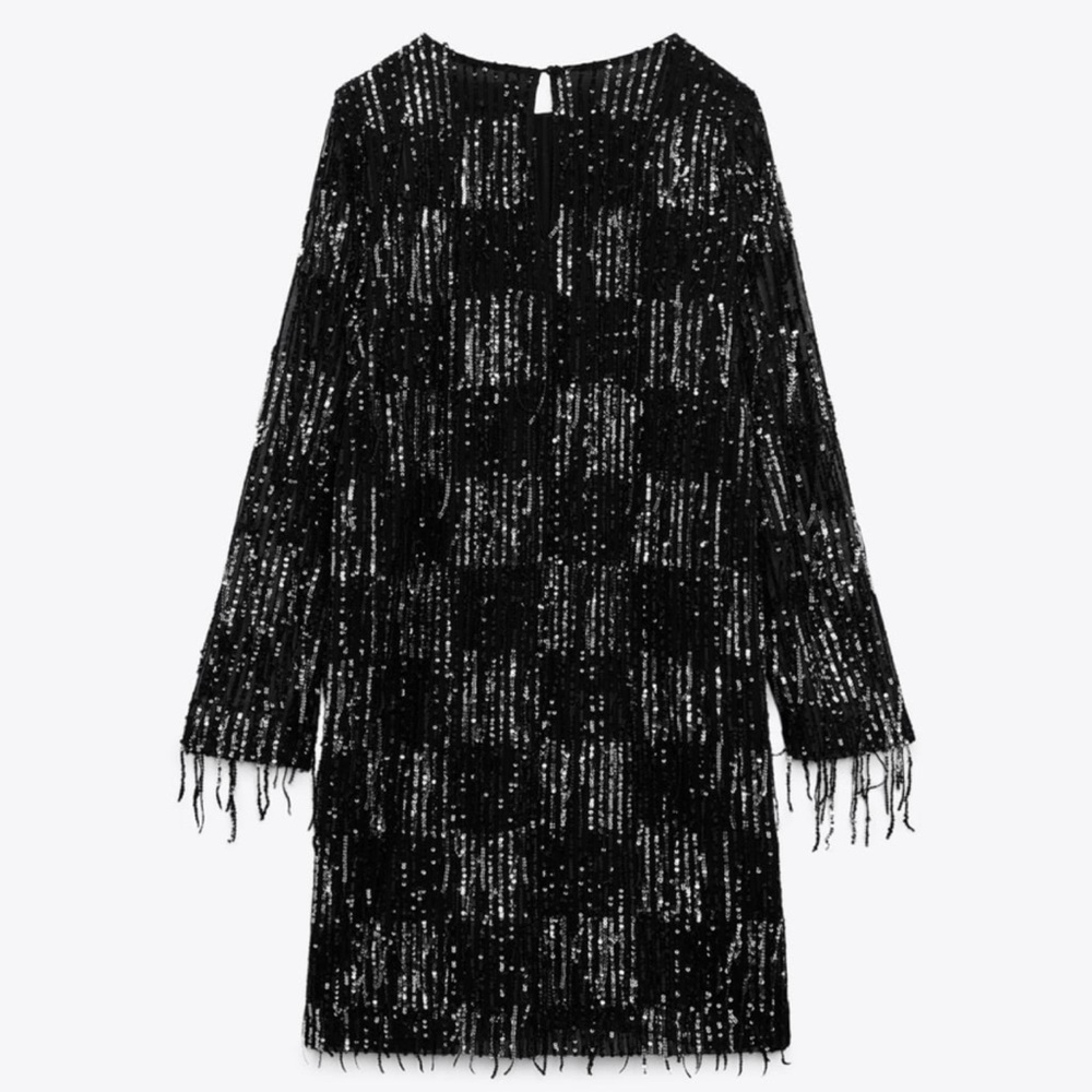 NWT Zara Sequin Fringed Mini Dress - Picture 7 of 9